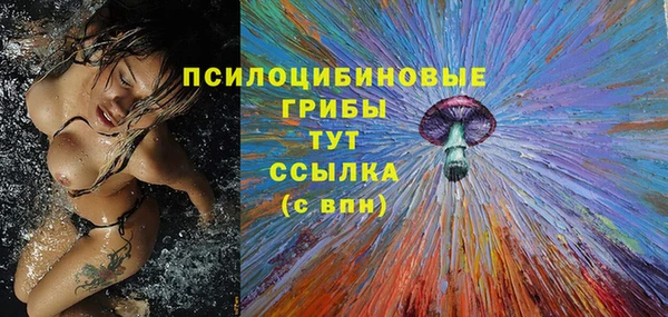 винт Абинск