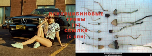 MDMA Абдулино