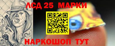 амф Новодвинск