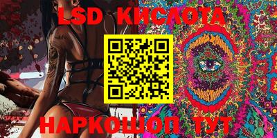 амф Новодвинск